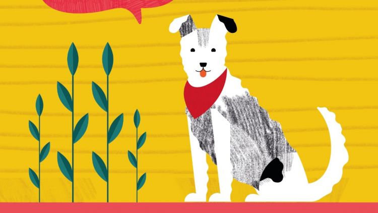 Lekcje online w ramach programu 